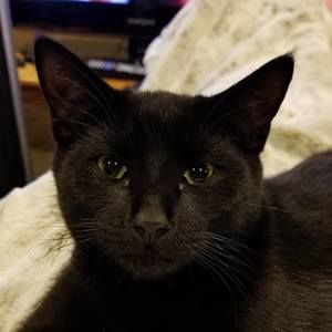 Meet your Posher, Stacy